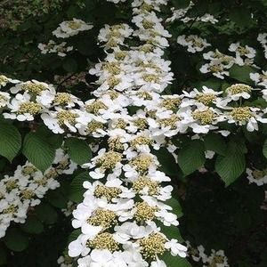 Meet your Posher, Whitney